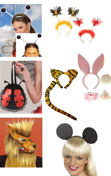 Accessoires Animaux