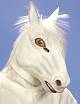 Masque cheval blanc