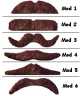 Bacchantes N2 brunes S013039Existe en :MOD 1,MOD 2,MOD 4,MOD 5