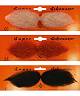 Grosse moustache S012657Existe en :BLONDE,ROUSSE,NOIRE