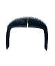 Moustache Seventies M2