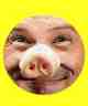 Nez de Cochon S018011