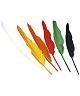Plumes d indien