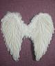 Ailes plumes 50x50cm S011381