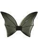 Ailes chauve souris