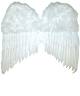 Ailes plumes 50x42cm