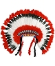 Coiffe indien PRO M2