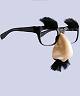 Lunettes avec nez Groucho
