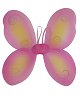 Ailes papillon M4