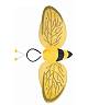 Ailes abeille M2