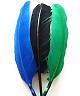 Plumes indien M2Existe en :BLANC,NOIR,VERT,BLEU,BLEU CLAIR