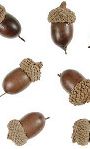 Glands naturel 65g S011773