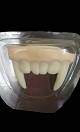 Dentier de vampire pour enfant