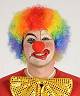 Perruque Clown Eco 2 Arc-en-ciel