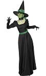 Costume Sorci�re F5 pour HalloweenExiste en :36-38,40