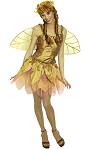Costume Elfe orExiste en :36-38,40-42