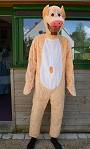 Costume Cochon M1 S01Existe en :L