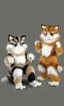 Costume Mascotte Chat M4Existe en :BEIGE,ROUX