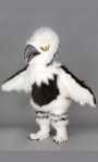 Costume Mascotte Aiglon M1Existe en :TU(Une seule taille)