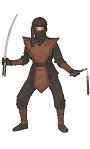 Costume Ninja E3
