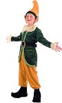 Costume Elfe G1