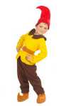Costume Lutin jaune E2