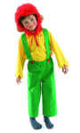 Costume Lutin E7