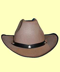 Chapeau Cow-Boy Std beige AD
