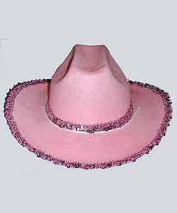 Chapeau Saloon AD2 rose