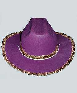 Chapeau Saloon AD2 violet