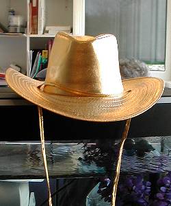 Chapeau Saloon or
