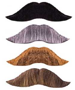 Moustache King S01