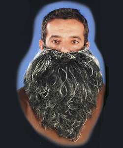 Barbe m�ch�e M2