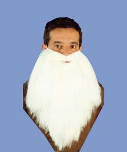Barbe raide blanc M2 S01