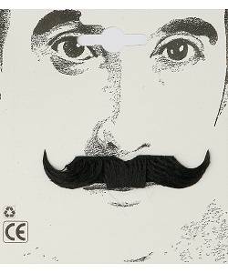 Moustache Dandy