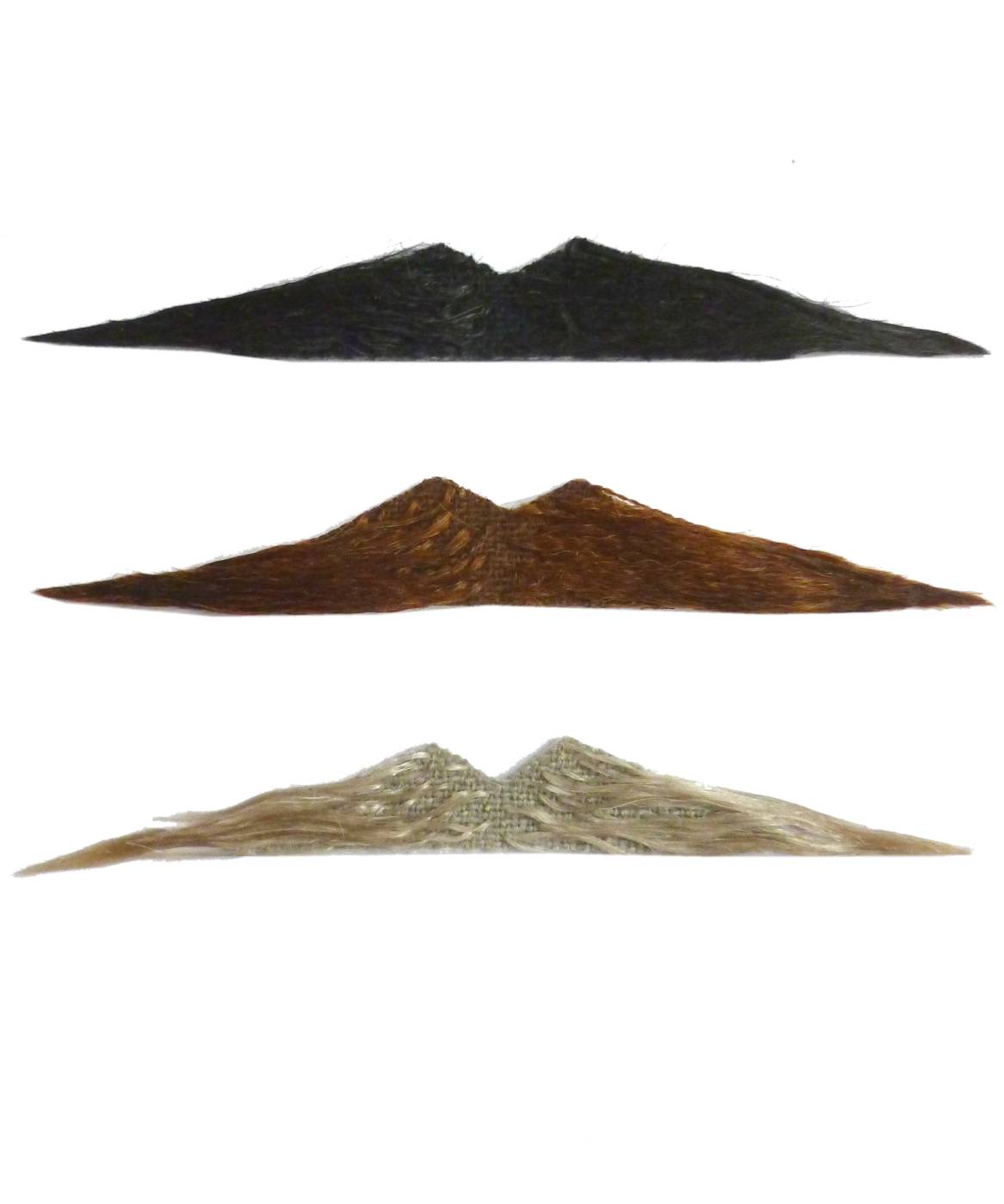 Moustache droite M2