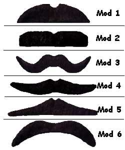Moustache-Bacchantes N2 noires