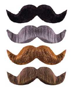 Moustache Ambassador