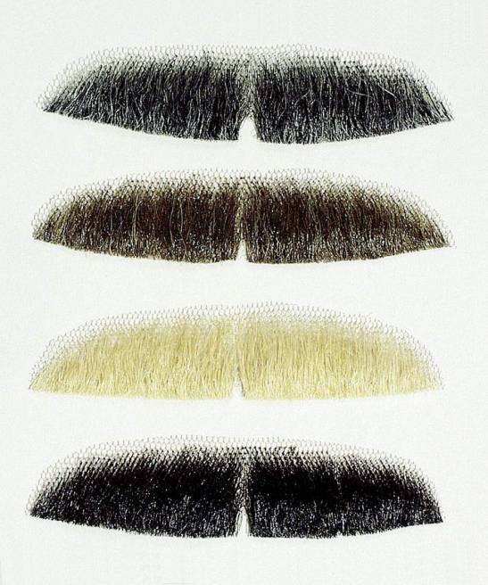 Moustache th��tre M1