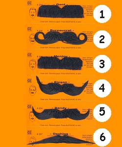 Moustaches Bacchantes noires 1