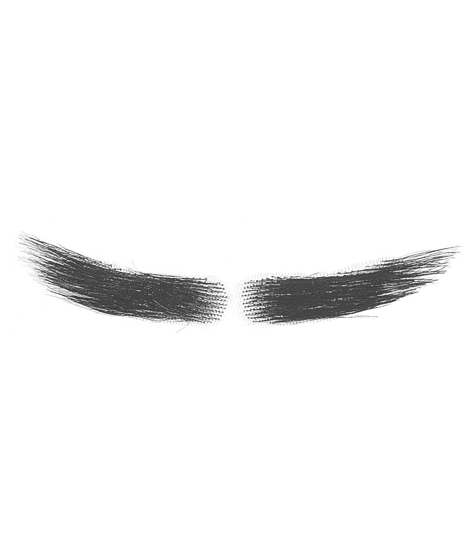 Sourcils luxe