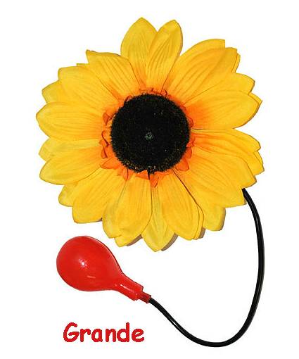 Fleur Lance Eau Clown M2