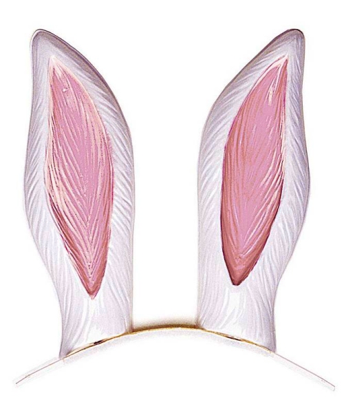 Oreilles de Lapin plastique