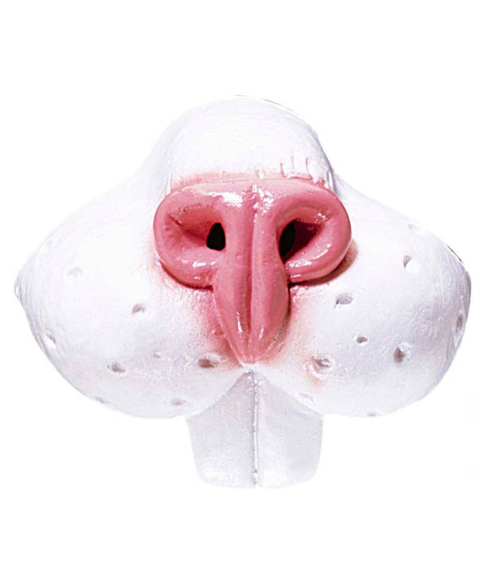 Nez de Lapin