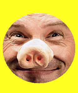 Nez de Cochon