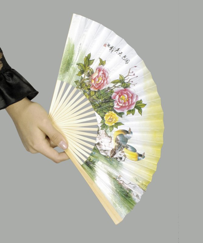 Eventail Japonais M2