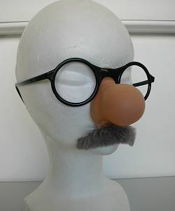 Lunettes avec nez