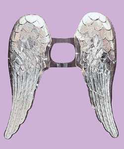 Ailes Argent M�talis�es