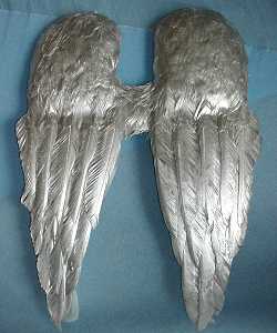 Ailes Argent plumes