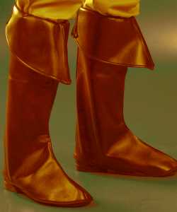 Sur-bottes marron